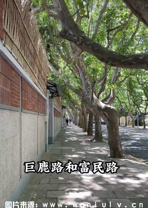 上海一日游必去景点攻略最好免费的地方推荐(图3) QQ截图20240627114440.png