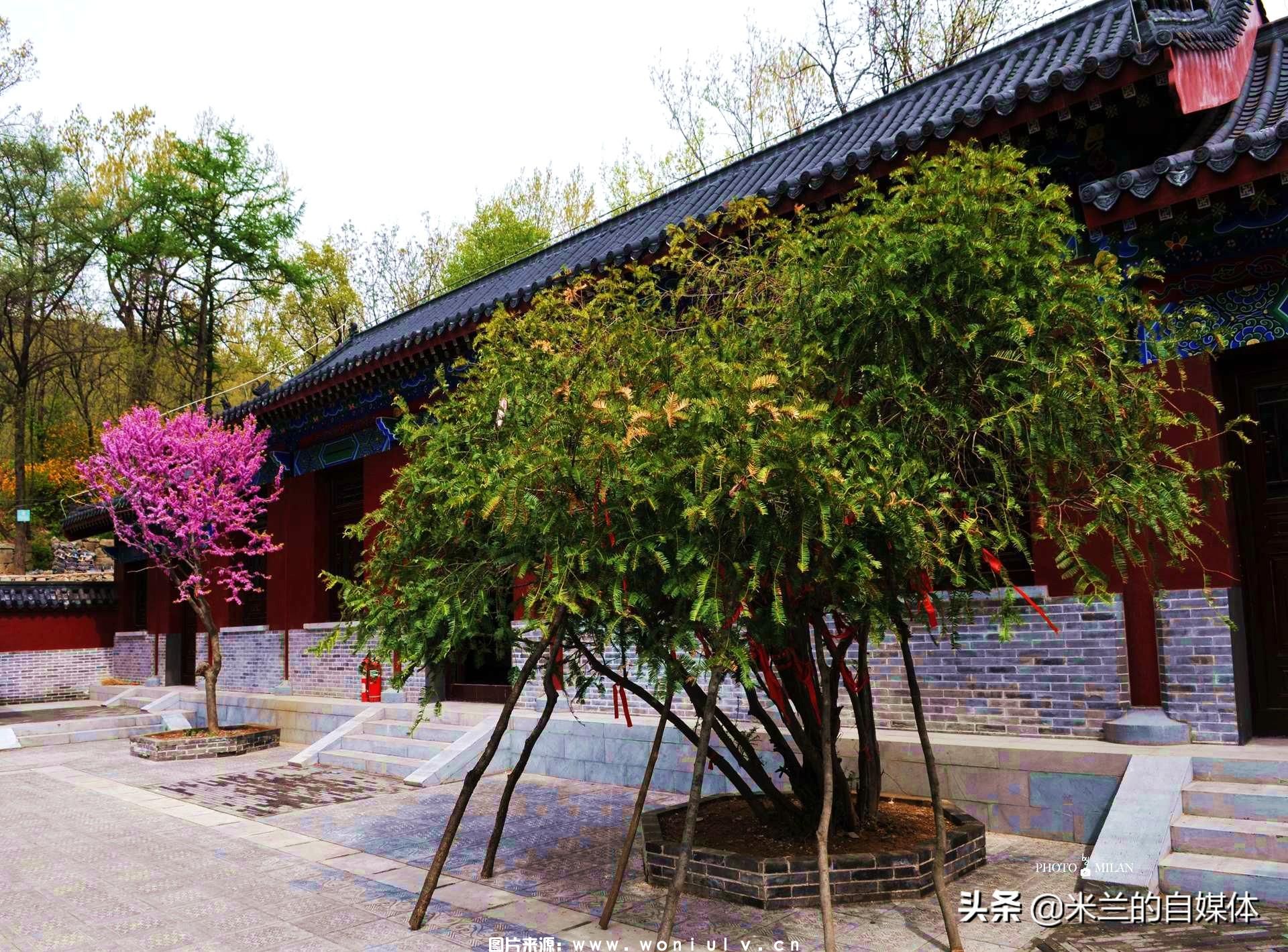 临沂沂蒙山龟蒙景区和云蒙景区详细介绍及哪个好玩(图35) 临沂沂蒙山龟蒙景区和云蒙景区详细介绍及哪个好玩(图35)